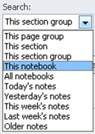 OneNote-Tags-Summary-3-RememberEverything