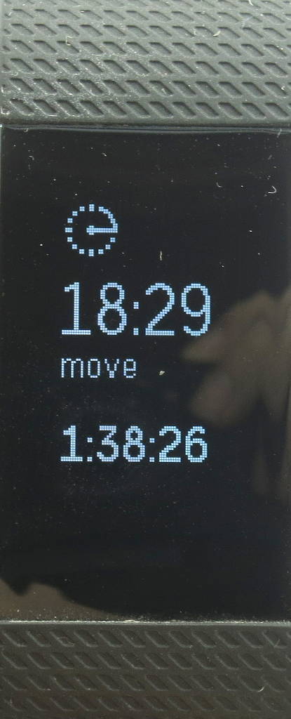 fitbit interval timer